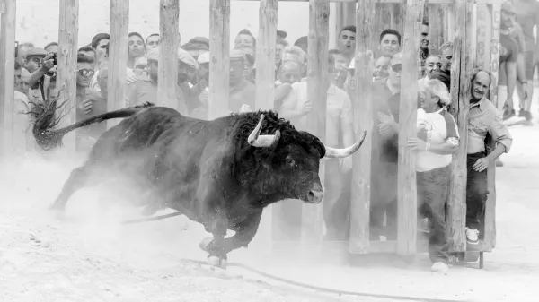 Jaén Cultura del Toro