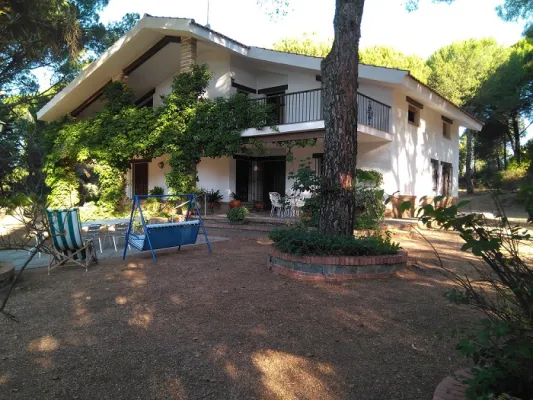 Arroyo del Gallo