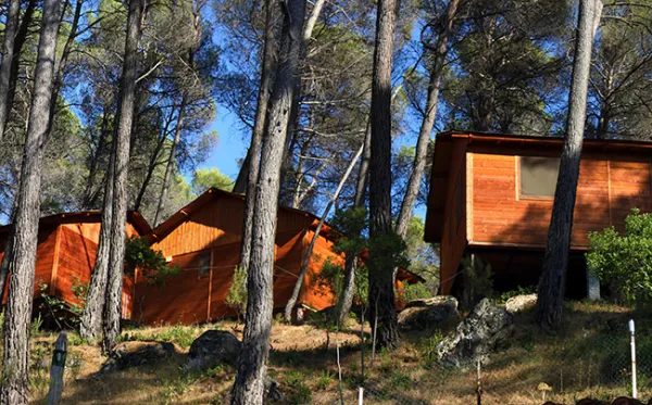 Camping El Robledo
