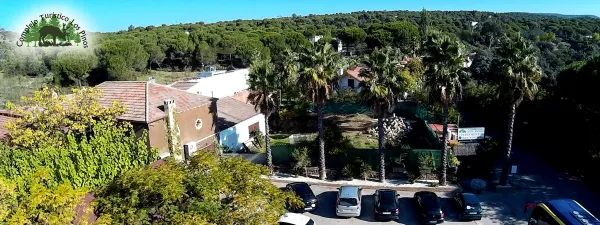 Apartamentos Turísticos Los Pinos