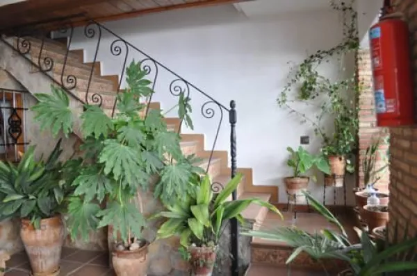 Apartamentos Peralta