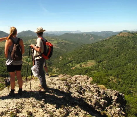 Turismo Activo Andabosques del Sur