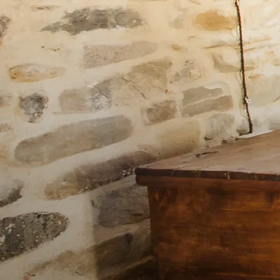 Casa del árbol