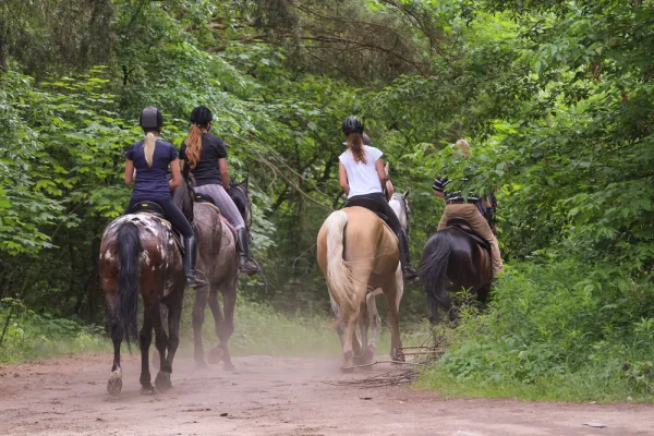 Turismo activo Mulexperience