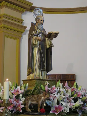 Fiesta de San Antón