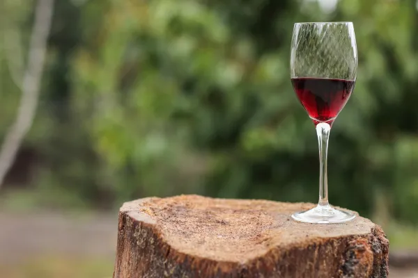 Vinos Vallebravo