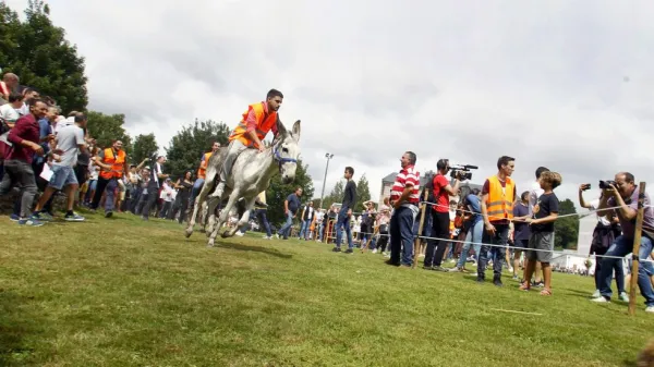 Fiestas de la Fundación