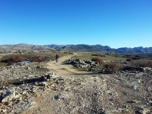 Campos de Hernán Perea