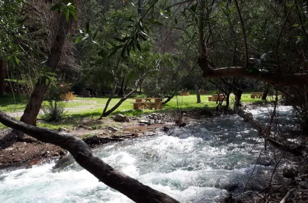 Adelfar del Río Cuadros