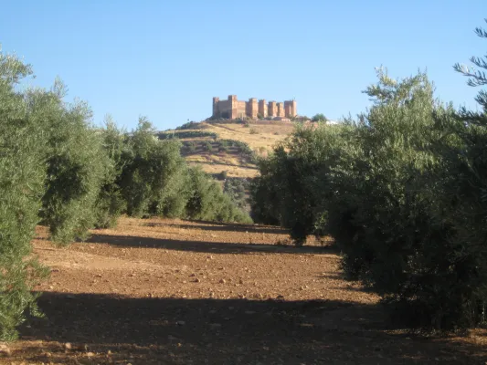 Mirador Castillo de Baños de la Encina