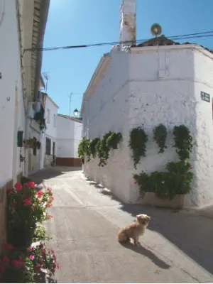 Altstadt von Villarrodrigo