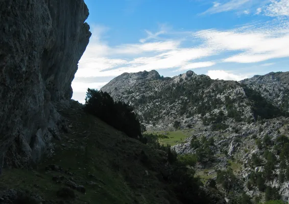 Die Hängenden Gärten: Die Vegetation der Felsen