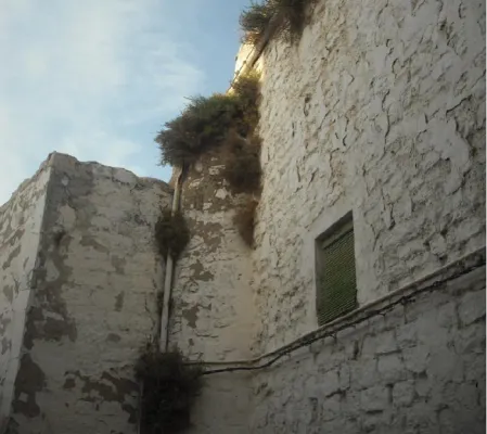 Iglesia de San Miguel