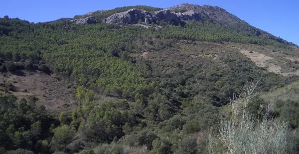 Ruta de los Miradores