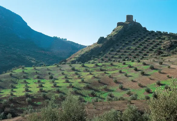 Ruta del Aceite (Primera jornada)