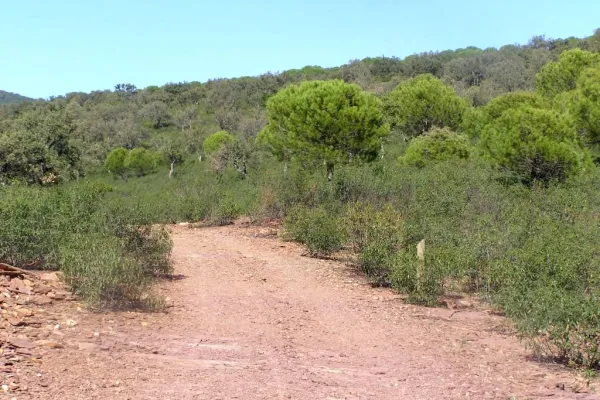 Sendero Empedraillo