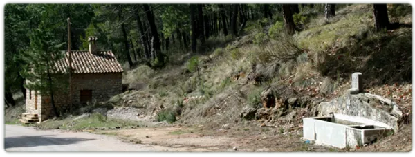 Ruta de senderismo El Pilarillo - Cumbre de Peñalta