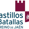 castillos y batallas logo