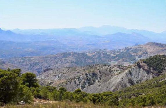 Espartales Hinojares