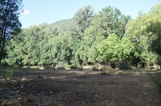 Aguaderos de Vadillo y Orcera