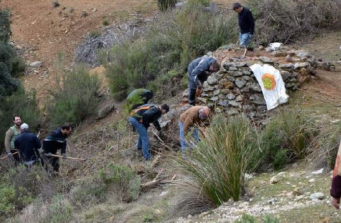 Mierera Los Goldines