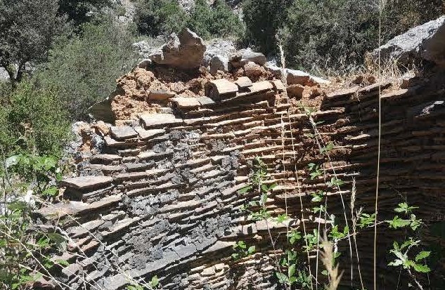 Mierera del Raso Honguera