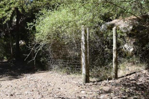 Cercados protecc flora