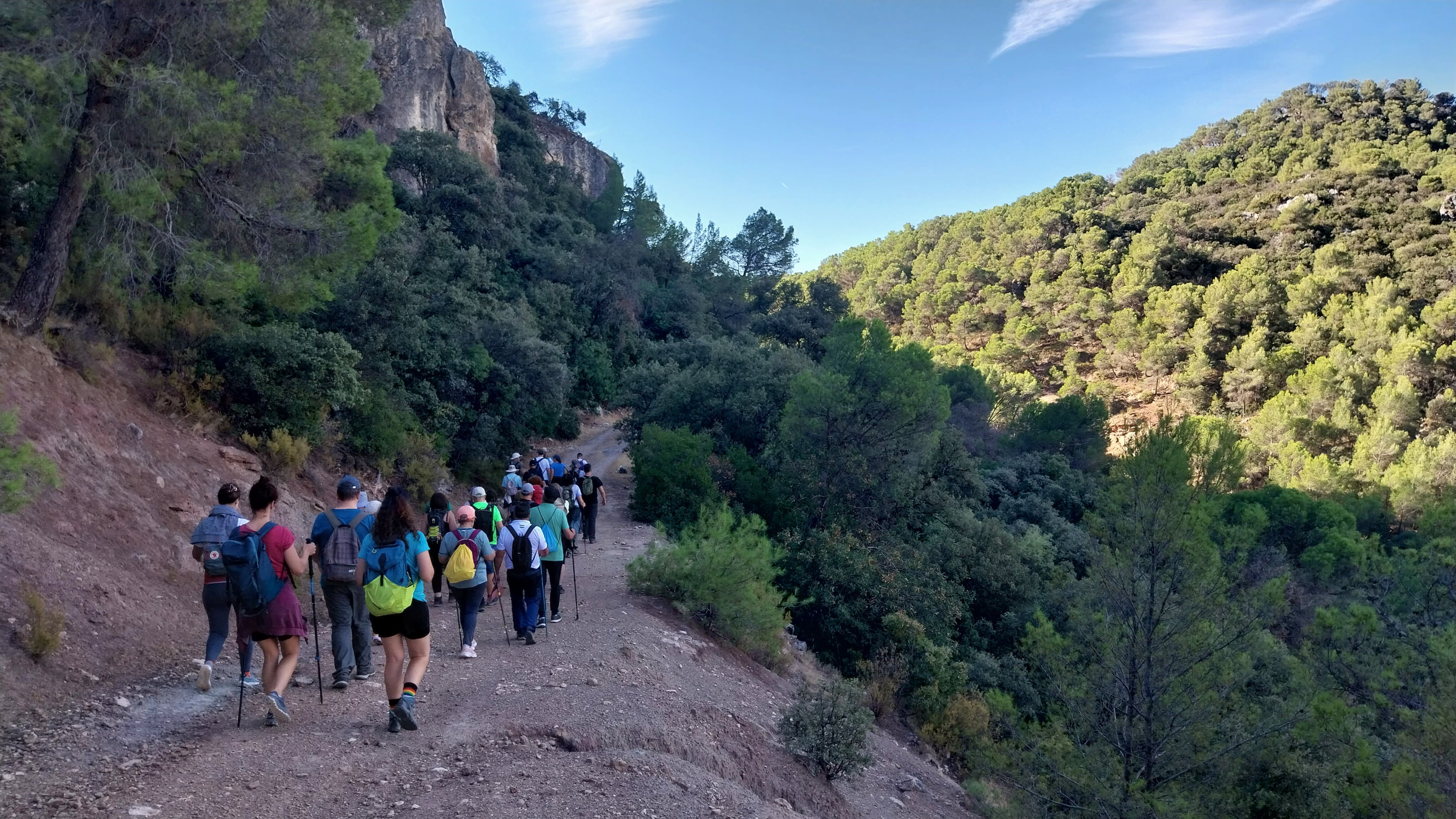 Un grupo numeroso avanza por un camino amplio rodeado de pinar y vegetación densa, siguiendo una ruta de senderismo en un entorno de media montaña.