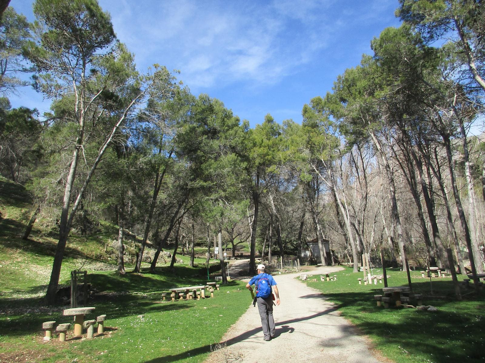 hombre paseando por un área recreativa de pinos, sombras y zonas de descanso