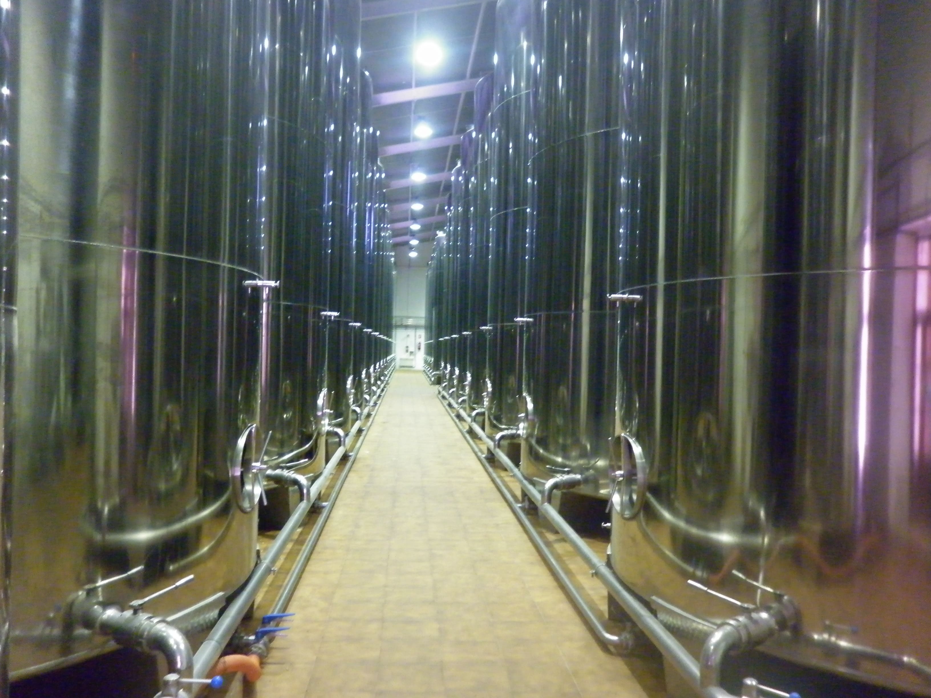 Pasillo interior rodeado de grandes depósitos metálicos donde se conserva el aceite en condiciones controladas.