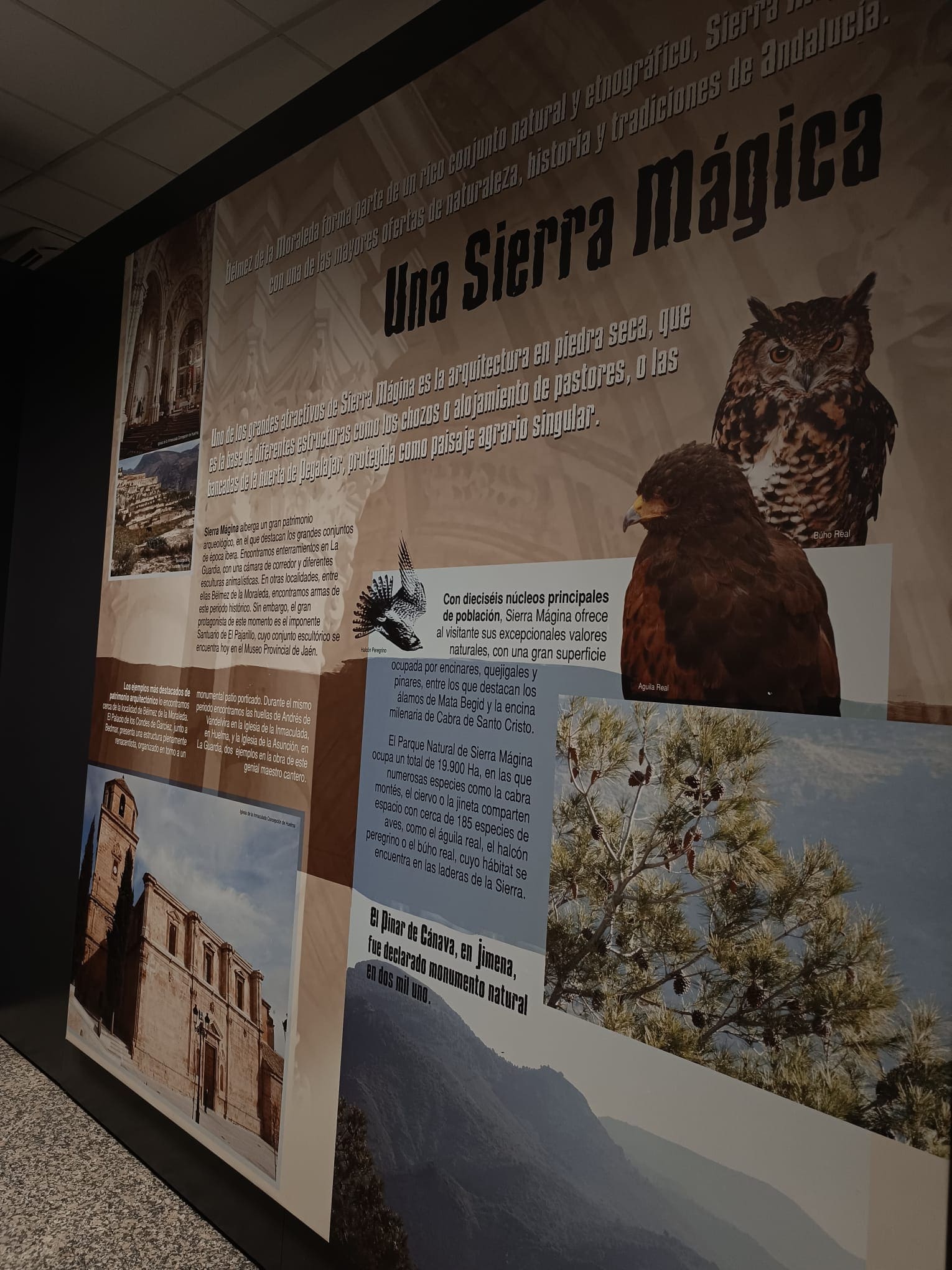 Mural informativo del interior dedicado a Sierra Mágina, con fotografías de naturaleza, patrimonio y fauna, además de textos sobre el entorno natural y cultural de Bélmez de la Moraleda.