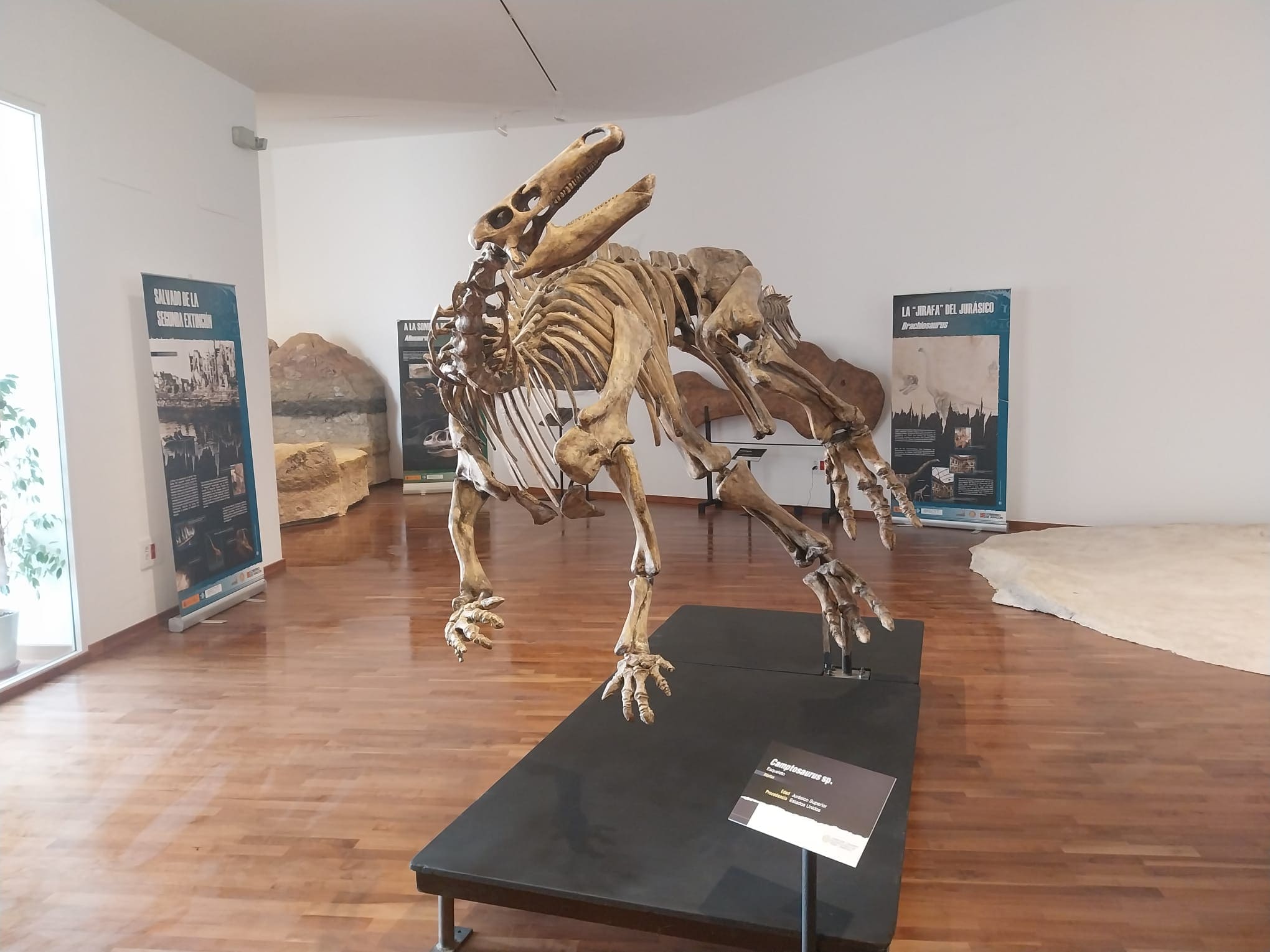 en la imagen se ve la silueta de un dinosaurio