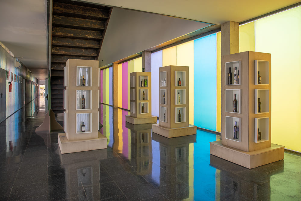 Interior de un espacio expositivo amplio y luminoso, con suelo brillante y ventanales de colores. En la sala aparecen varias vitrinas verticales con botellas de aceite expuestas.