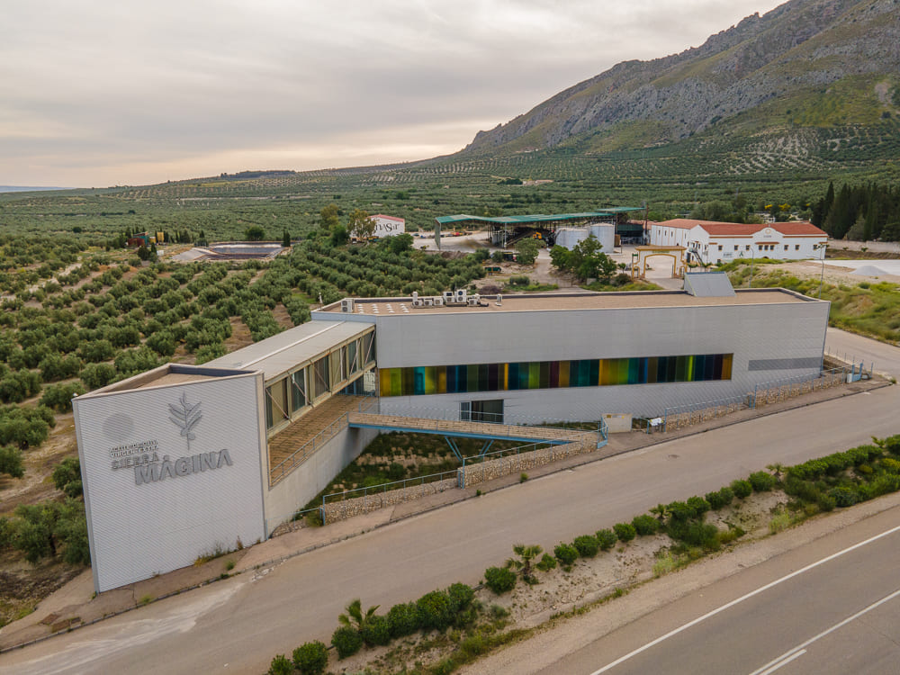 Vista aérea de un edificio moderno situado junto a una carretera y rodeado de olivares. Al fondo se aprecia el paisaje de montaña, con cultivos de olivo extendiéndose por las laderas.