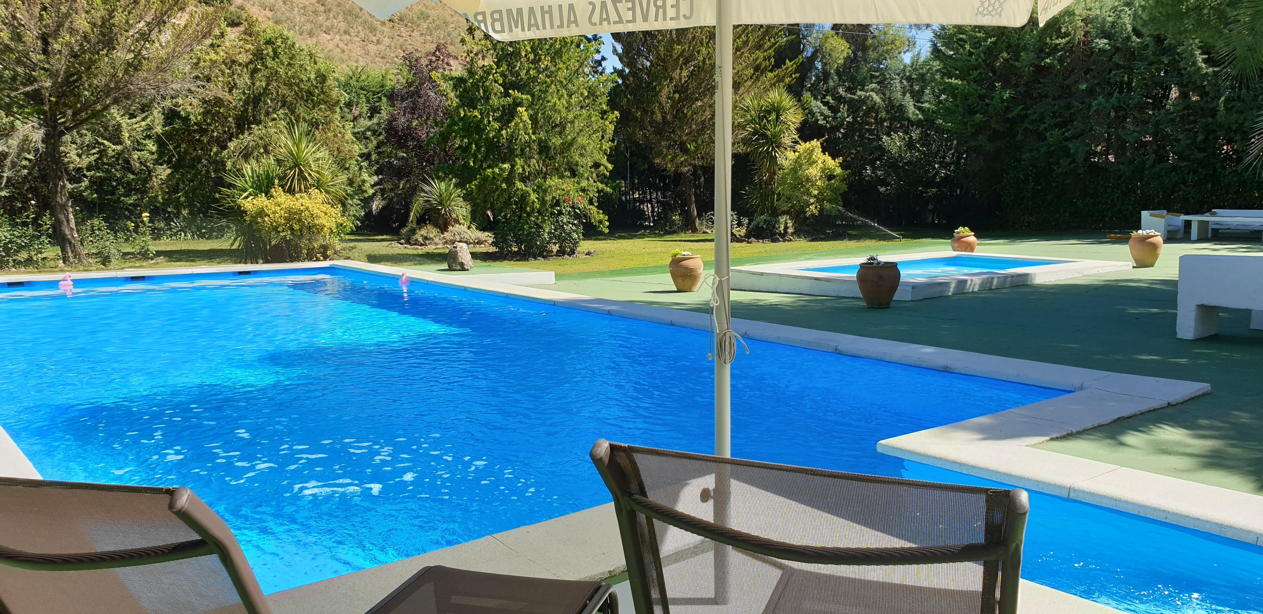 piscina en entorno natural, rodeado de vegetación y un día soleado