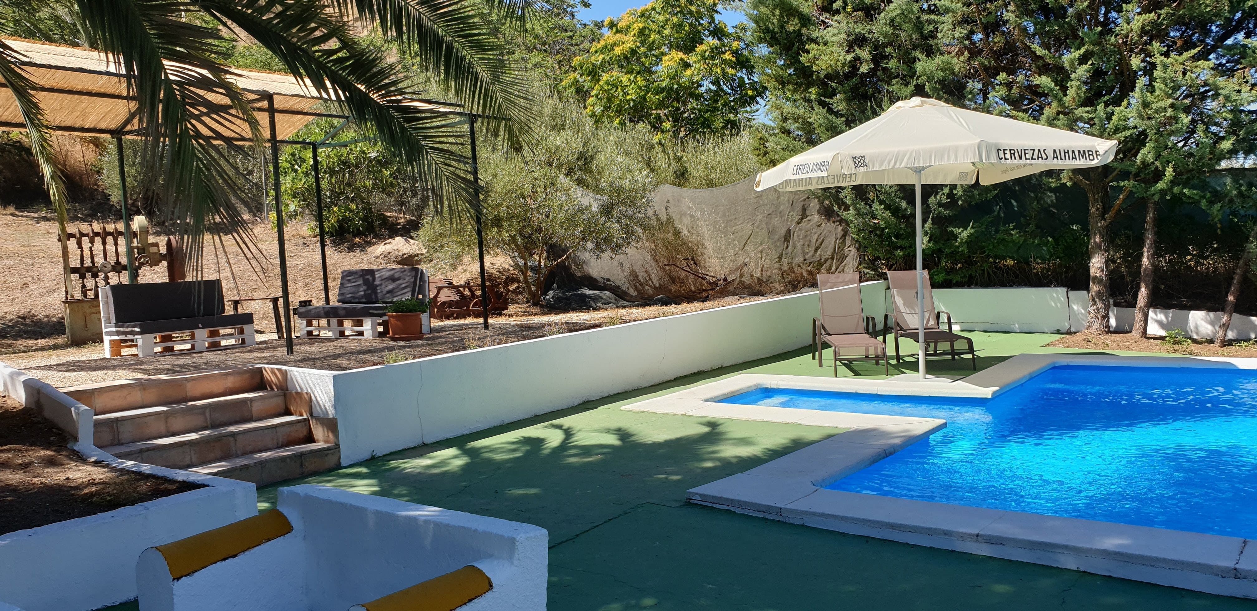 zona de piscina rodeada de vegetación
