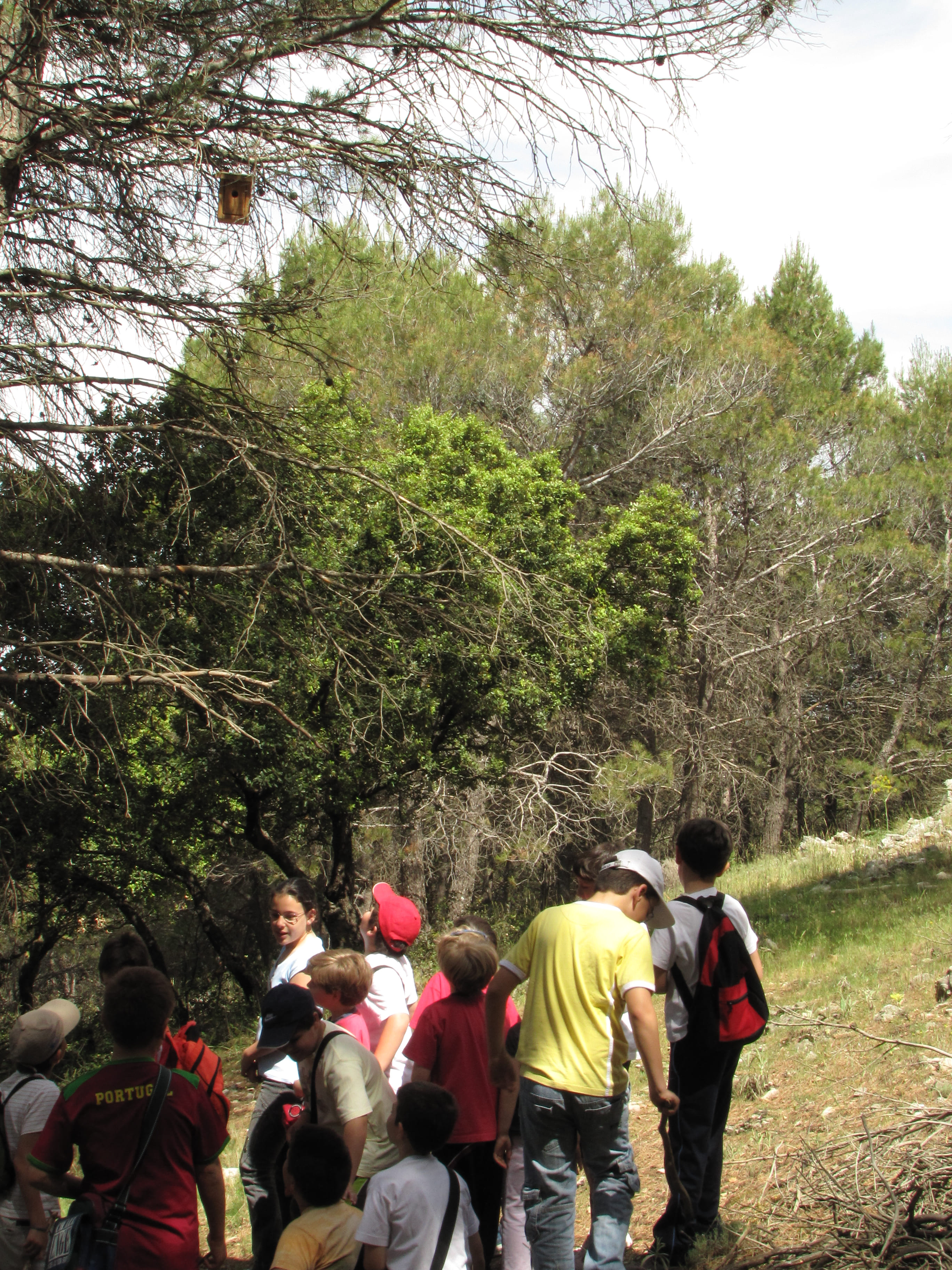 Grupo de personas caminando por un sendero en un entorno forestal durante una actividad guiada.
