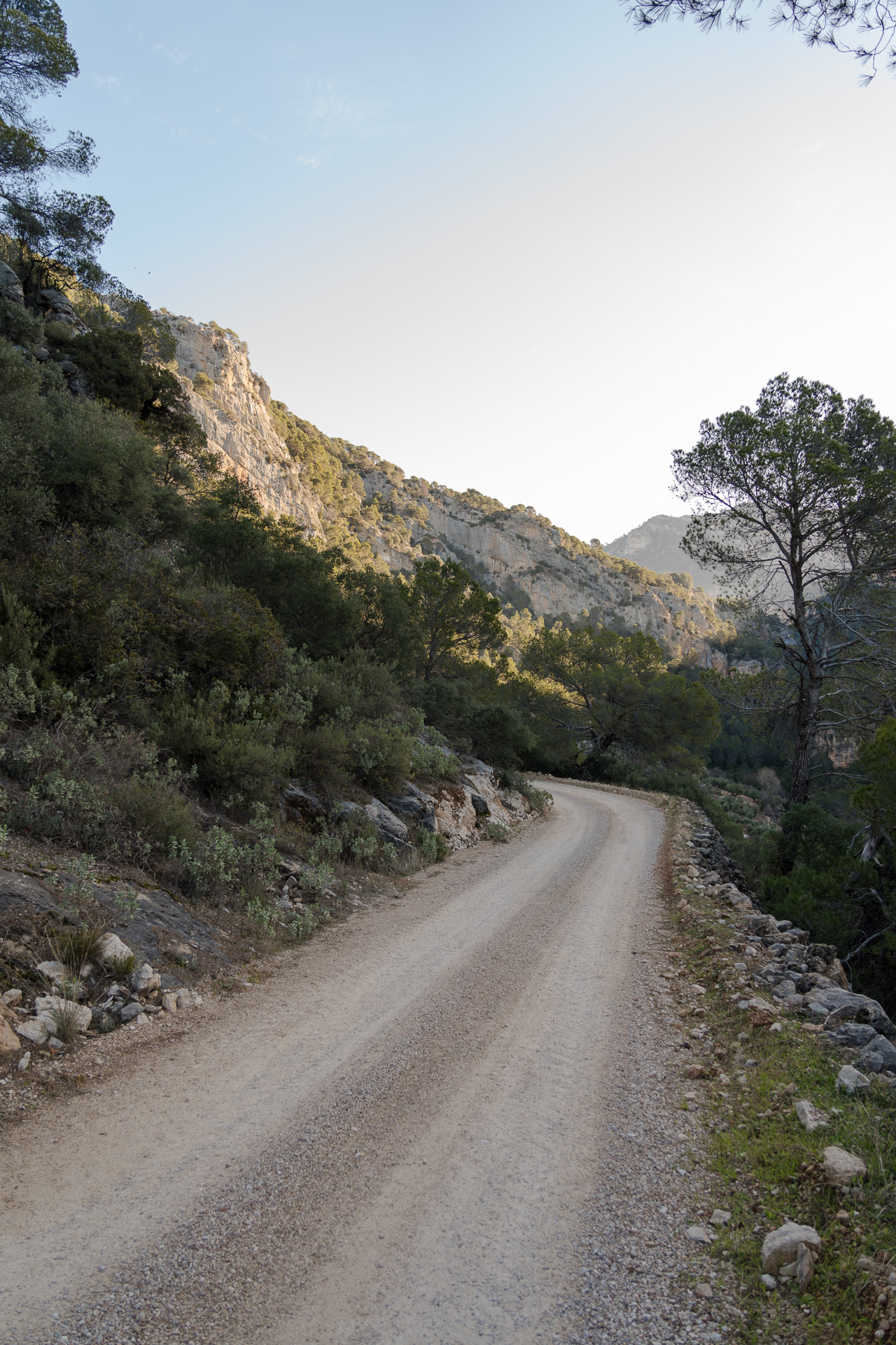 Vistas durante la ruta con Paraíso Bardazoso