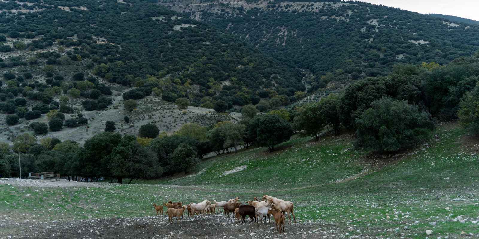 Imagen principal del hero