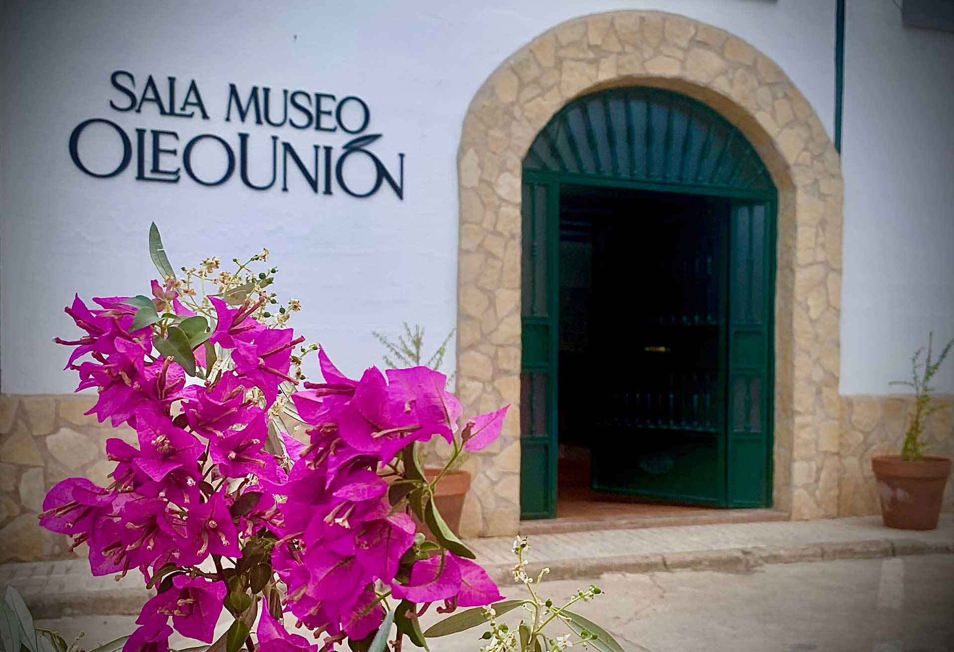 Entrada a Sala Museo Oleounion