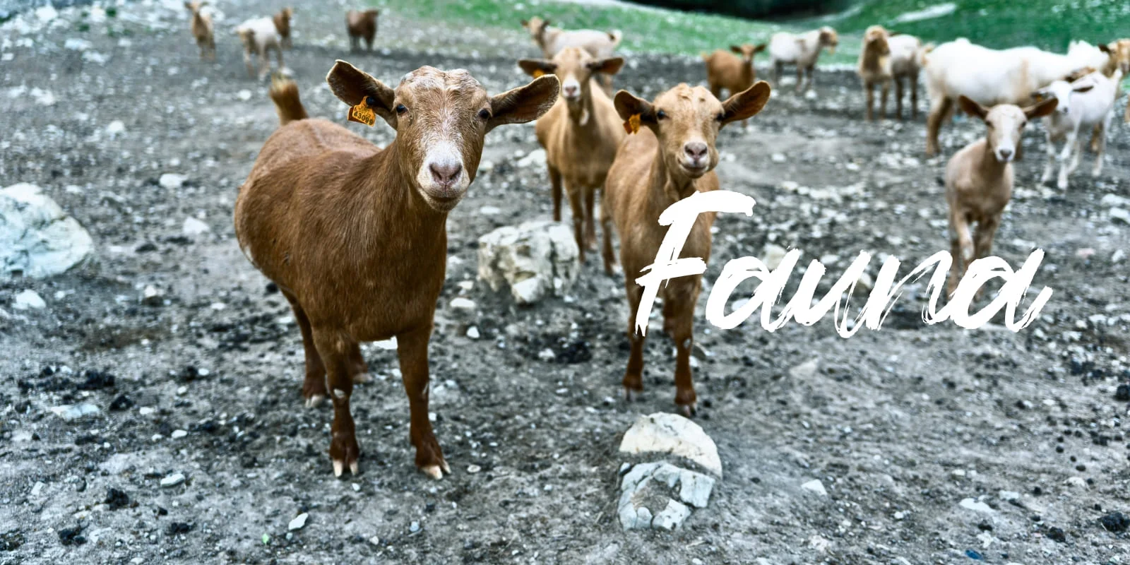 Imagen principal del hero