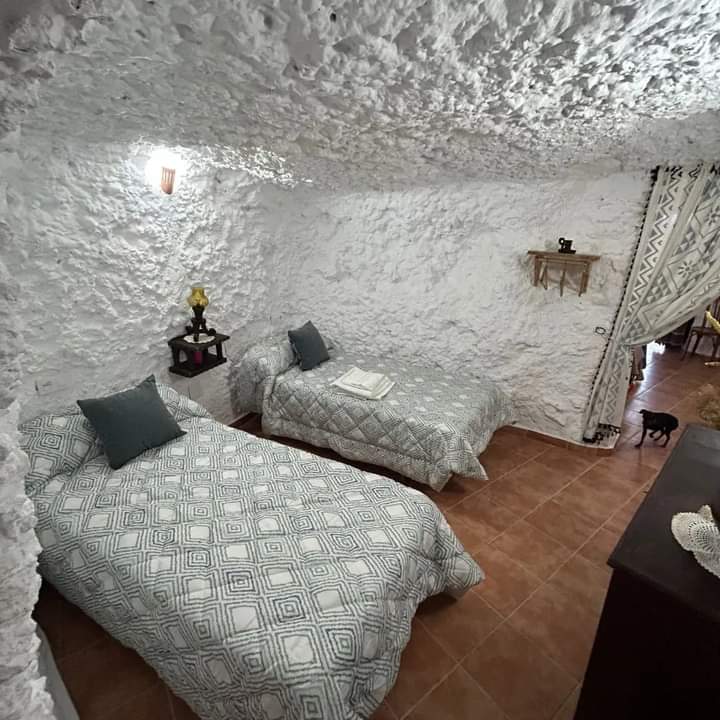 Dormitorio con camas individuales en un espacio de cueva, donde predominan las formas orgánicas y la calma. La iluminación suave y los tonos neutros refuerzan la sensación de descanso.