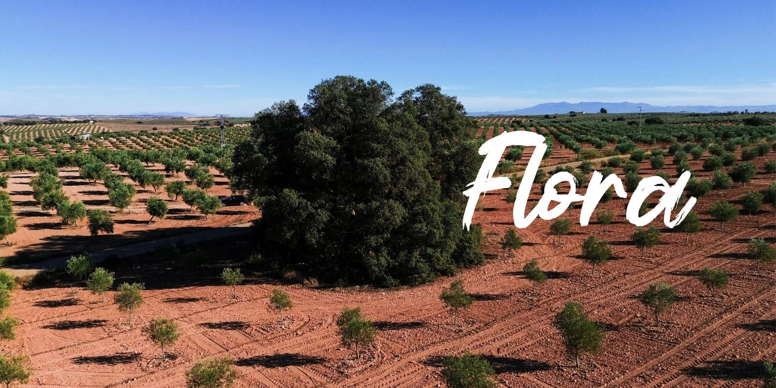 Imagen principal del hero