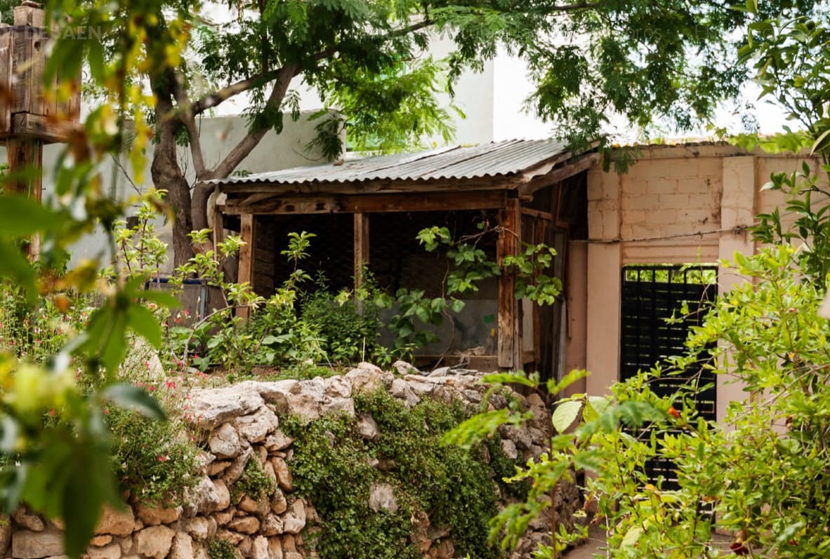 en la imagen de se una casa de madera rodeada de vegetación
