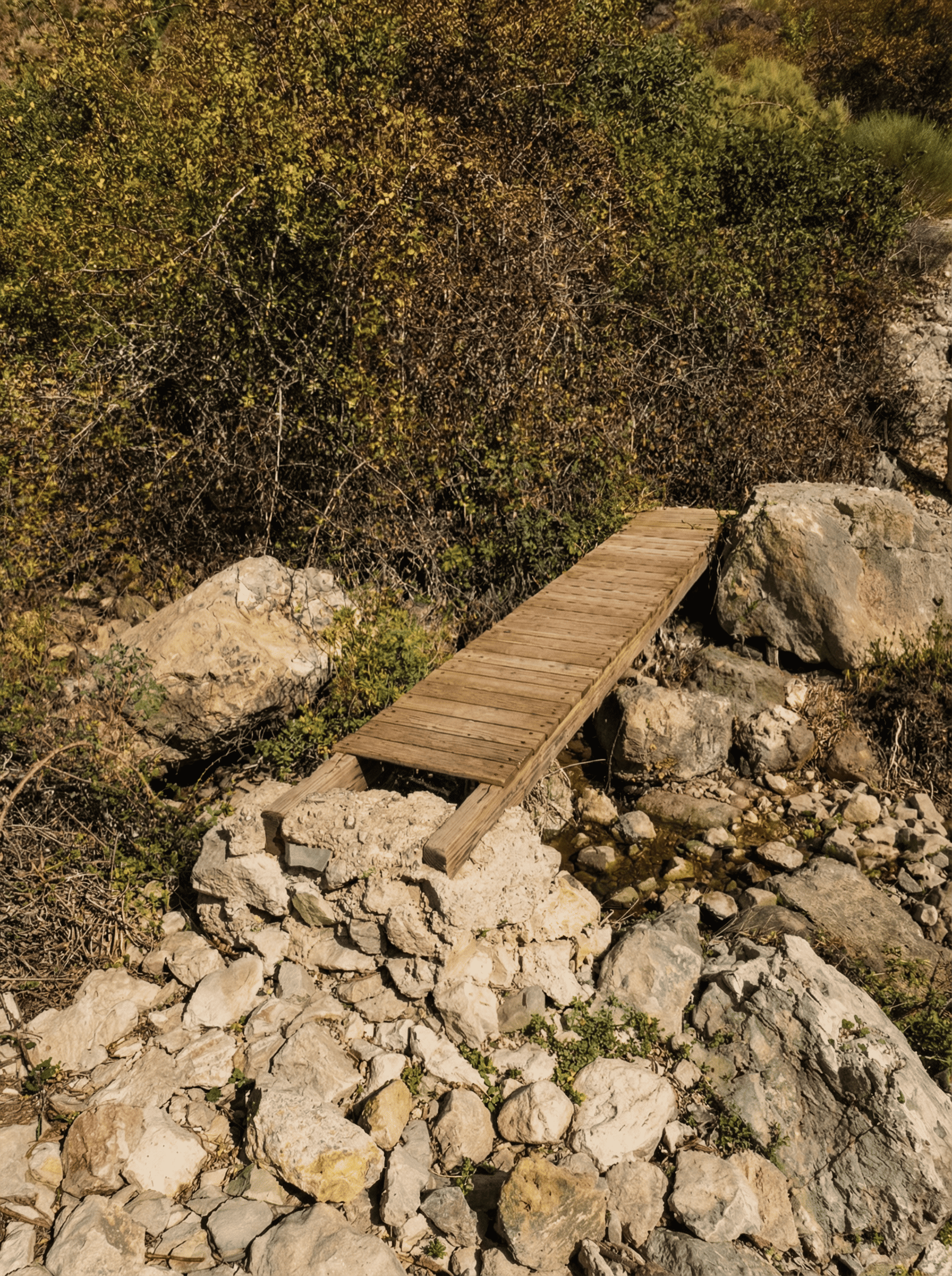 Pequeña pasarela de madera colocada sobre un arroyo estrecho entre piedras y rocas, en una zona de vegetación densa. La escena muestra un rincón natural de paso sencillo integrado en el paisaje.