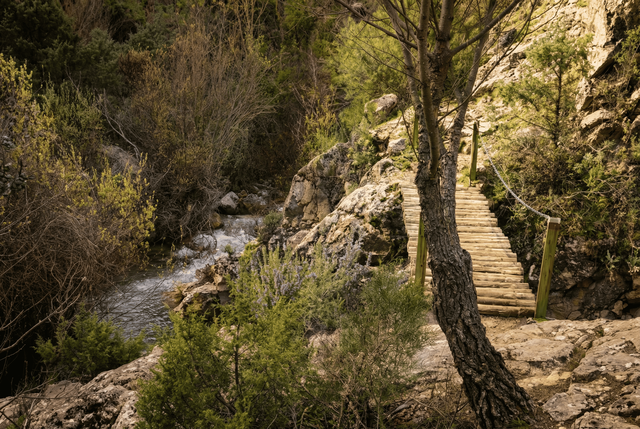 Sendero de montaña junto a un arroyo, con una pasarela y escaleras de madera integradas entre rocas y vegetación. El entorno combina agua, pinos y matorral en un paisaje natural recogido y sombreado.