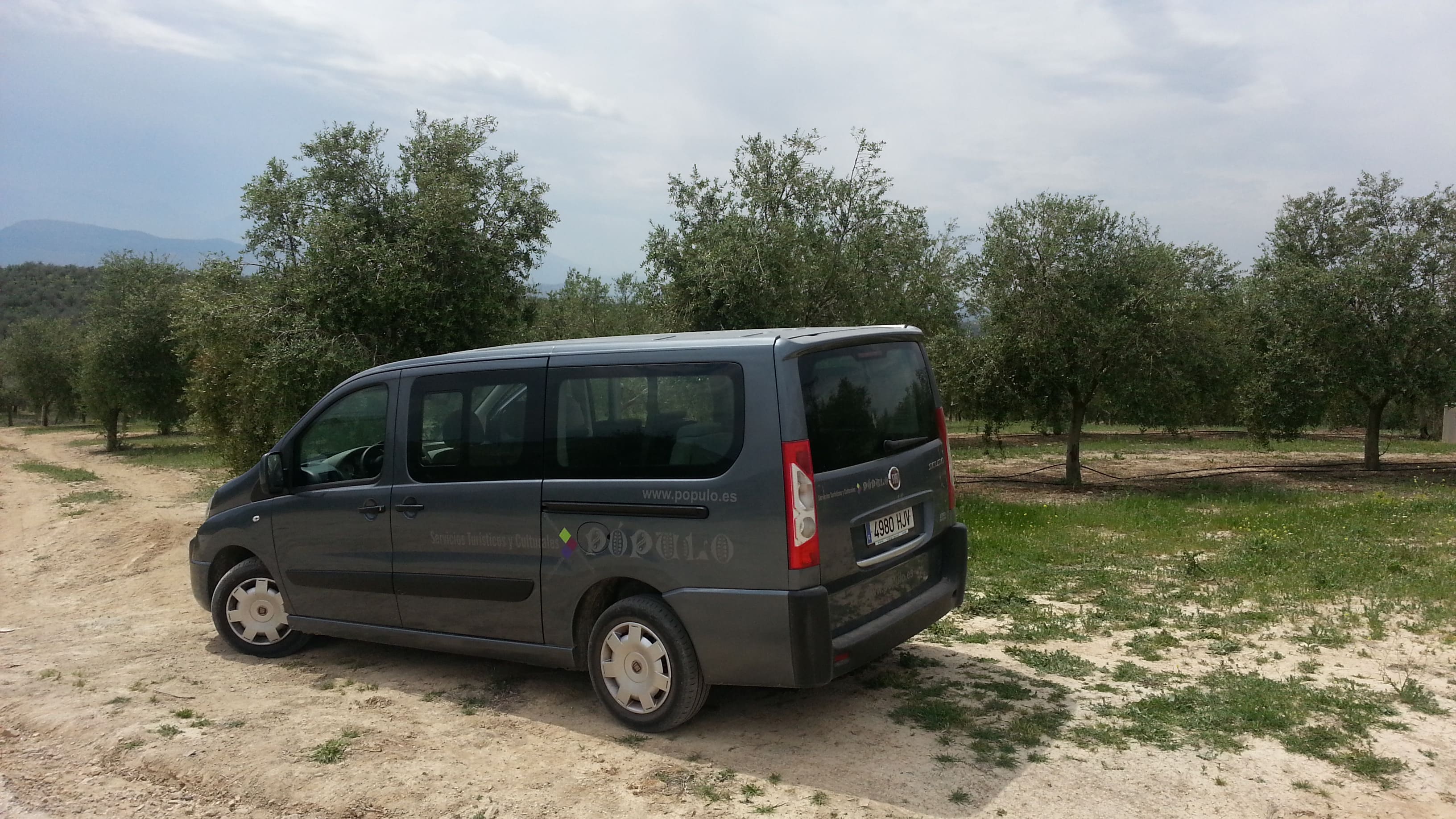 Furgoneta estacionada en un olivar, utilizada para rutas turísticas en el entorno rural.
