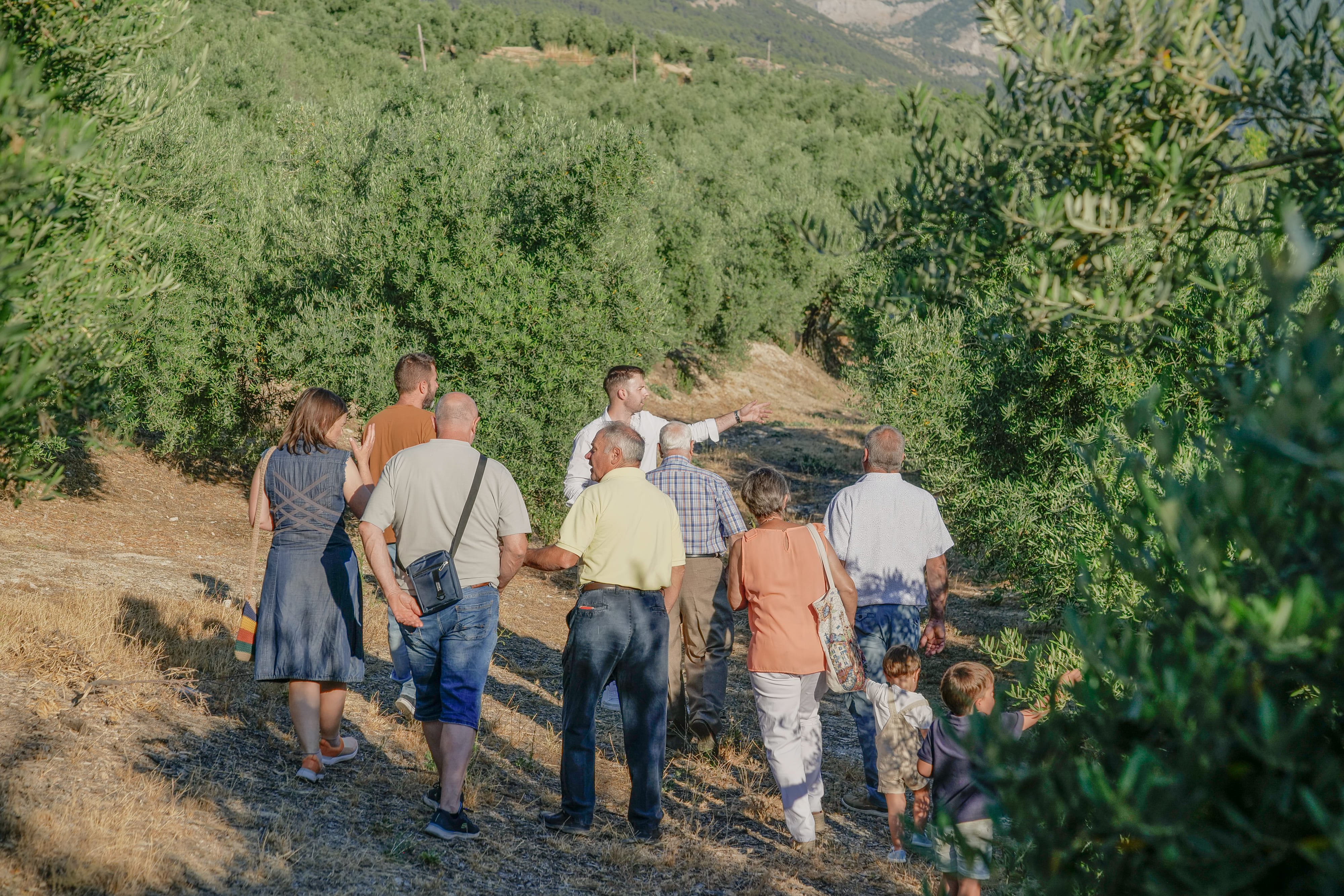 Grupo de personas observando un paisaje de olivares y montañas durante una visita guiada al aire libre.