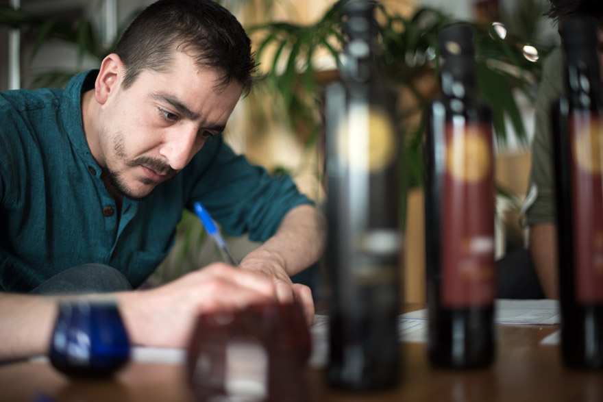 Cata AOVE experto catador Olearum