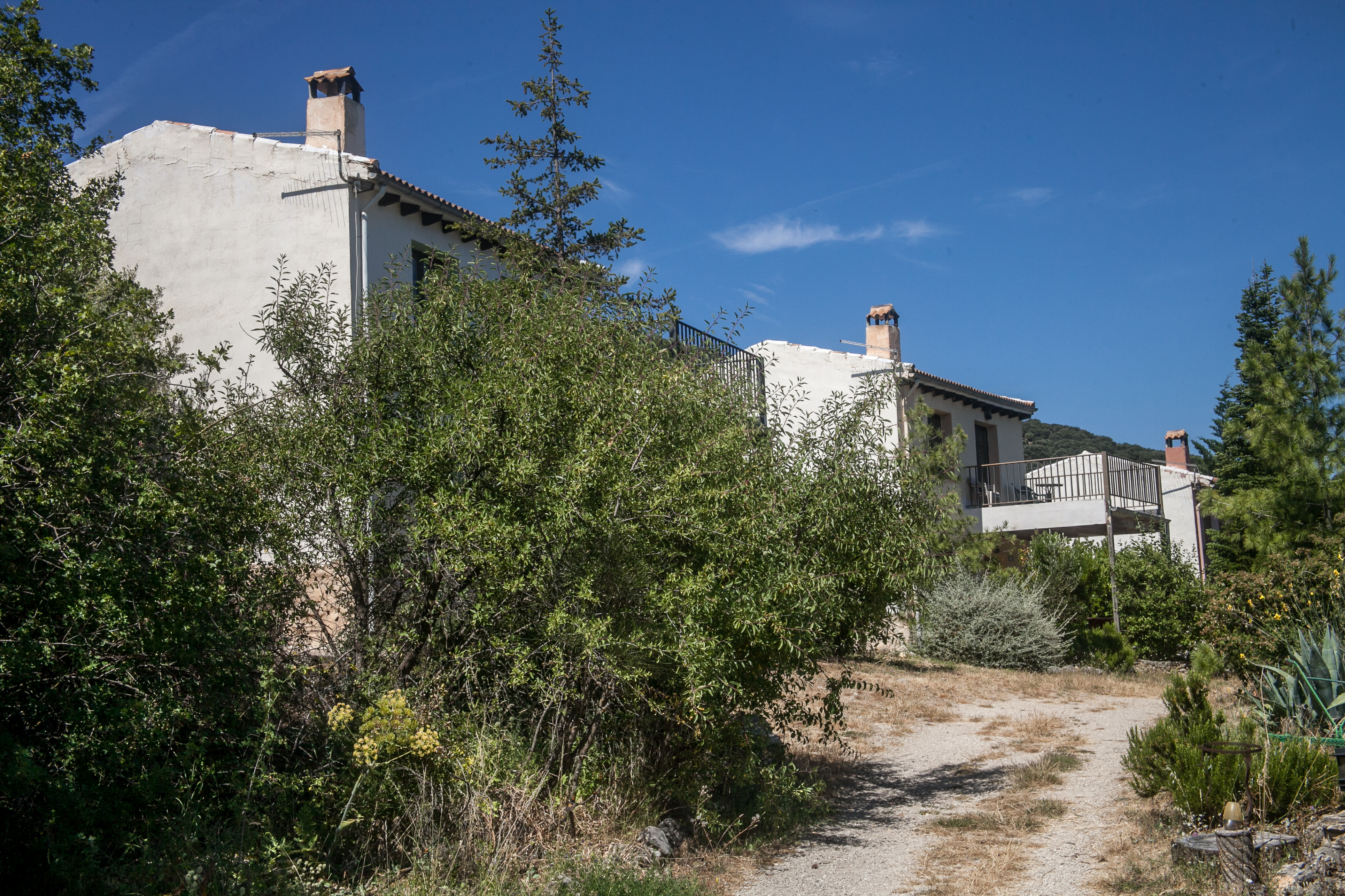 Conjunto de casas rurales encaladas rodeadas de vegetación, integradas en un entorno natural de sierra. El camino de acceso y la abundancia de arbolado refuerzan la sensación de tranquilidad y aislamiento.